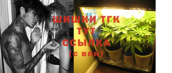 стаф Арсеньев