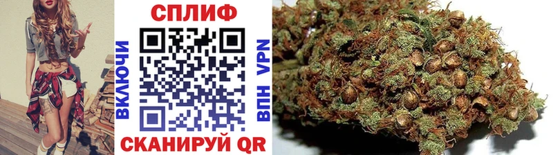 Бошки Шишки план  Курчалой 